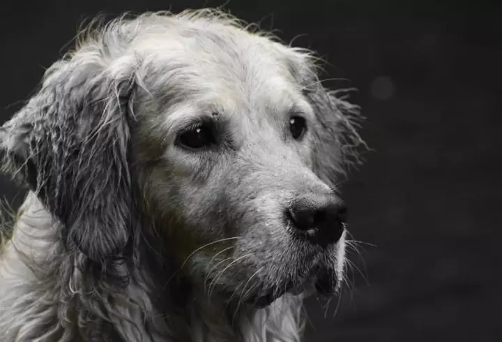 5 zodii care reușesc tot ce își propun. Norocoșii horoscopului