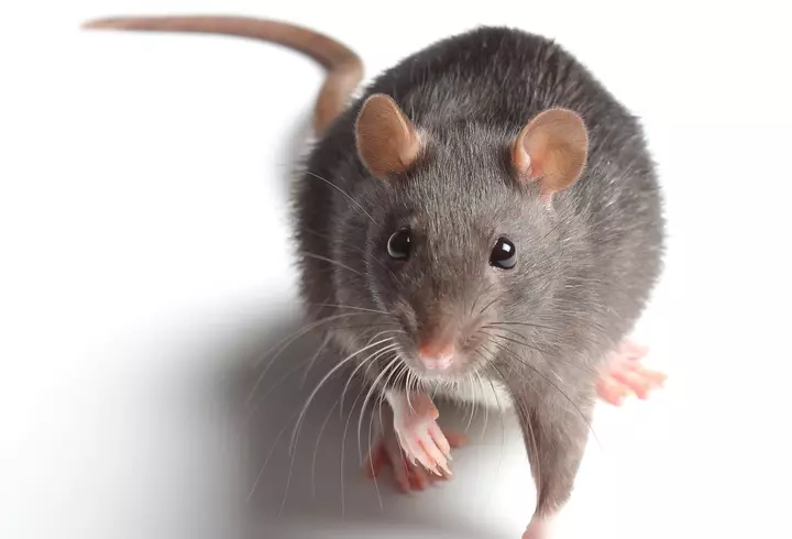 (P) Fracturile vertebrale - cât de periculoase sunt și cum pot fi tratate?