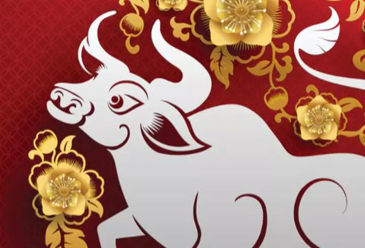 5 zodii care reușesc tot ce își propun. Norocoșii horoscopului