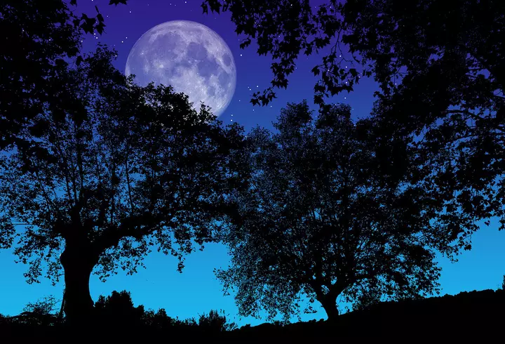 Alimentele care te ajută să scapi de insomnie. Ce să mănânci pentru a adormi mai ușor