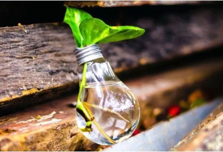 Taraful Viorel Bogateanu readuce la viață muzica de odinioară, într-un spațiu de lux, Restaurantul D’all Class din Călărași (P)