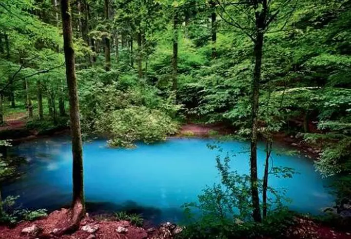 24 iunie: Nașterea Sf. Ioan Botezătorul. Rugăciunea făcătoare de minuni