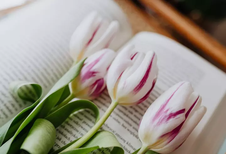 (P) Care sunt cele mai importante afecțiuni tratate prin acupunctură?