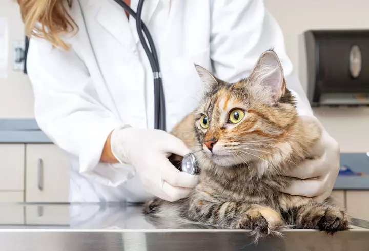 (P) Un nou sezon al serialului Fantasy. AVANPOSTUL începe la DIVA în Iulie