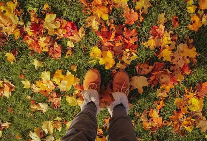 Wash&Go Super Food - noile produse cu 98% ingrediente naturale