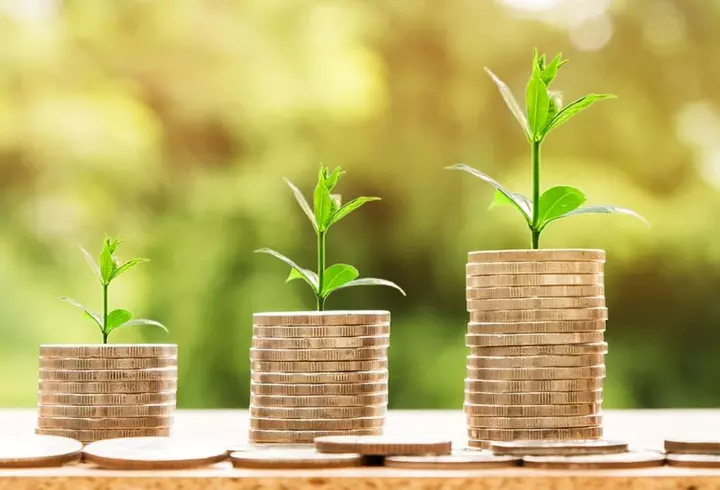 6 feluri de pâine sănătoasă. Le poți consuma fără să te îngrași