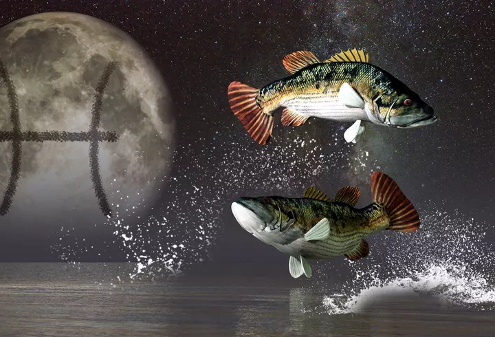 Horoscop 11 noiembrie 2021. Ce zodii au probleme cu banii