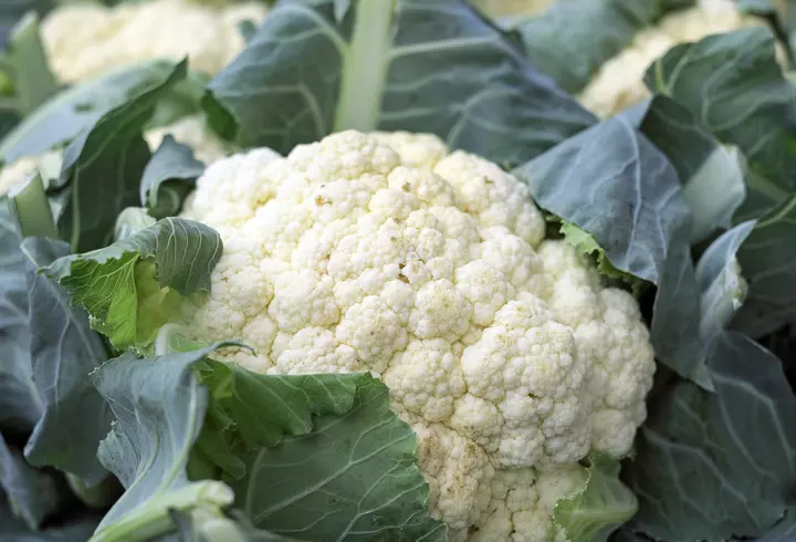 Rețetă de zacuscă țărănească de vinete