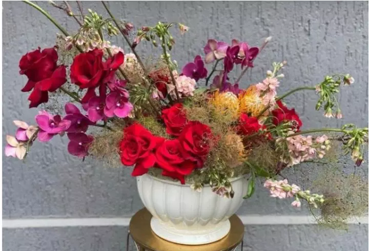 Hama aduce cel mai nou radio digital