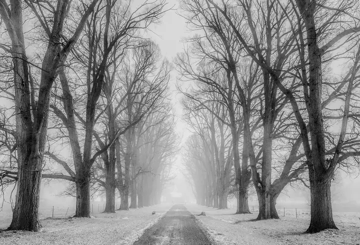 Cele mai smart cadouri de Crăciun pentru întreaga familie 