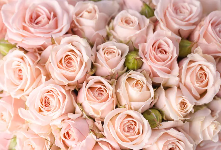 Zodie decembrie. Ce zodie ești dacă te-ai născut în decembrie