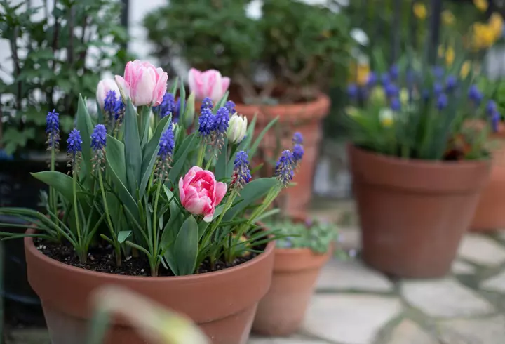 Zodie decembrie. Ce zodie ești dacă te-ai născut în decembrie