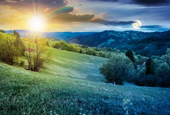 Mască de față cu miere. Cea mai bună rețetă