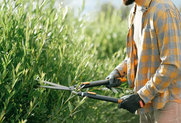 Cum să încetinești procesul de îmbătrânire a pielii: 3 sfaturi utile