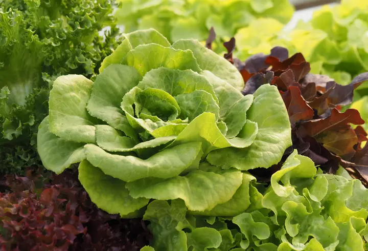 Ce este onlyfans si cum fac influencerii bani acolo