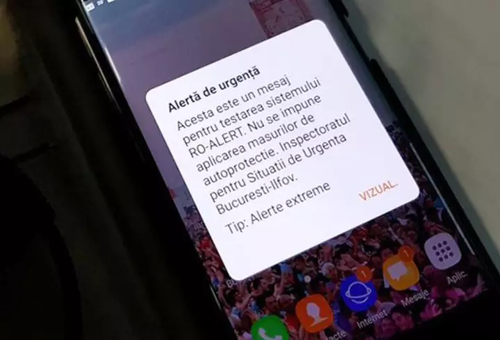 Fructul banal care poate afecta ficatul. Mihaela Bilic avertizează