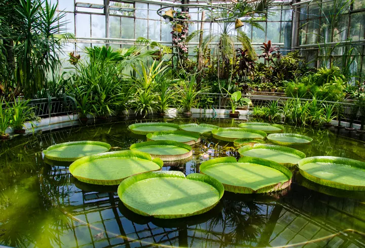 Ce este onlyfans si cum fac influencerii bani acolo