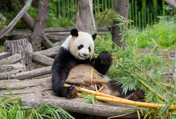 Ce este onlyfans si cum fac influencerii bani acolo