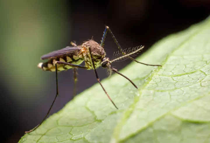 Ce este onlyfans si cum fac influencerii bani acolo