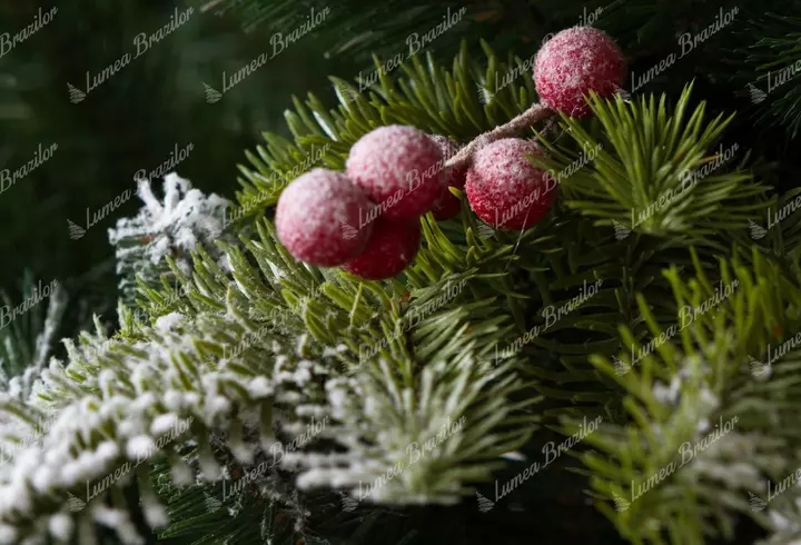 TROPIC EXOTIC – Limited edition. Aspect de vară – cu noua ediție limitată Tropic Exotic