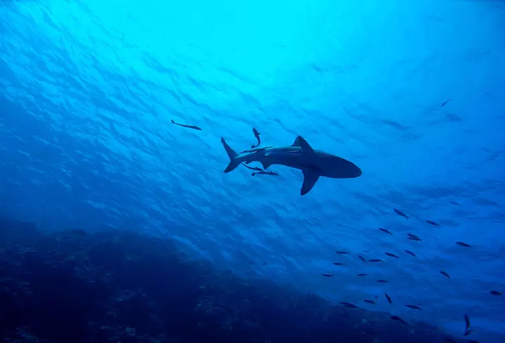 Laurette a fost cerută în căsătorie de fotbalistul Magaye Gueye: "Iubesc și mă simt iubită"