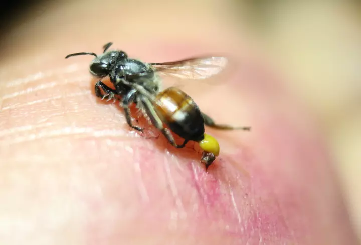 Fructe și legume bogate în vitamina C