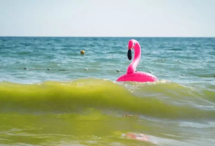 Cine este Maia Sandu. A studiat la Harvard, nu este căsătorită și regretă că nu are copii