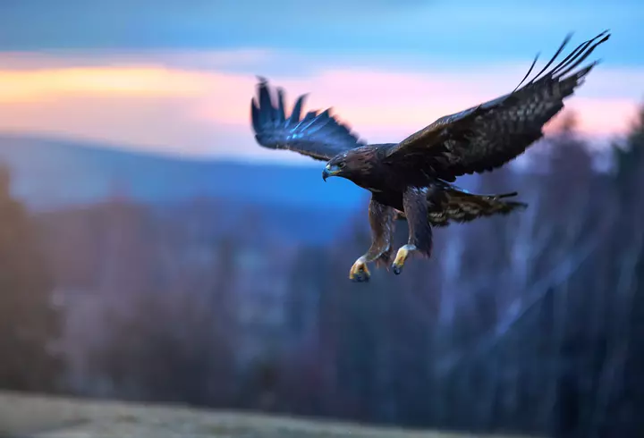 Fructe și legume bogate în vitamina C