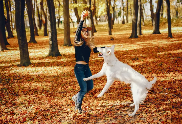 Cum poți reîmprospăta designul casei tale fără prea mult efort: 4 idei interesante