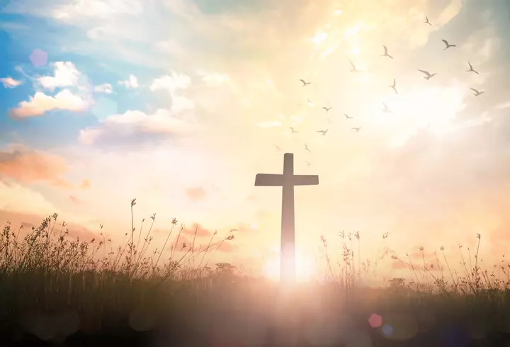 Fructe și legume bogate în vitamina C