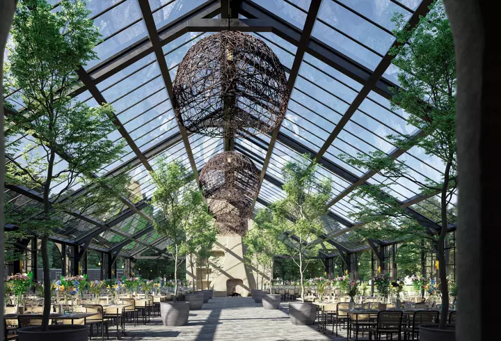 Lenjerie de pat din bambus versus lenjerie de pat din bumbac: care este mai potrivită?