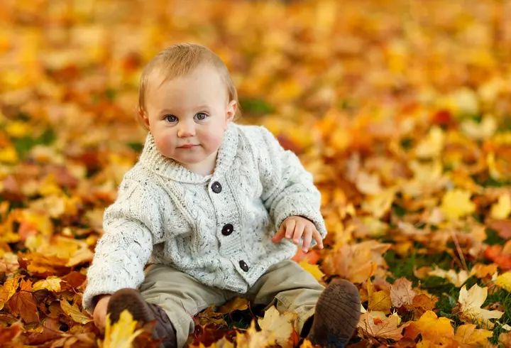 Ce este Crăciunița - de ce este considerată Floarea Crăciunului