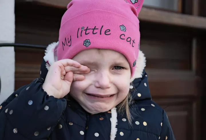 Ce este Crăciunița - de ce este considerată Floarea Crăciunului