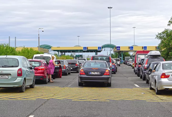 Ce este Crăciunița - de ce este considerată Floarea Crăciunului