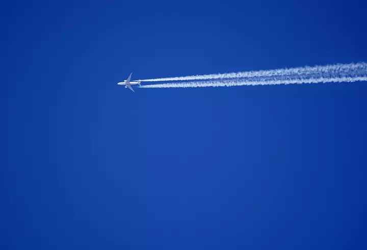 Ce este Crăciunița - de ce este considerată Floarea Crăciunului