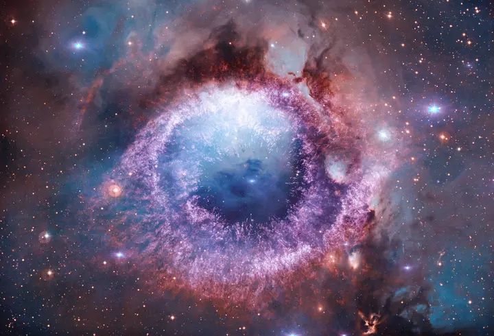 Ce este Crăciunița - de ce este considerată Floarea Crăciunului