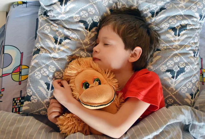 Ce este Crăciunița - de ce este considerată Floarea Crăciunului