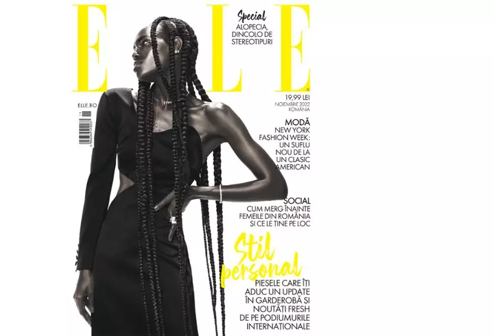 Lenjerie de pat din bambus versus lenjerie de pat din bumbac: care este mai potrivită?