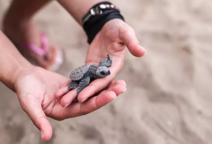 Cel mai mare concert caritabil, We Are One, inițiat de SAGA Festival - nominalizat la categoria Evenimente la PR Award