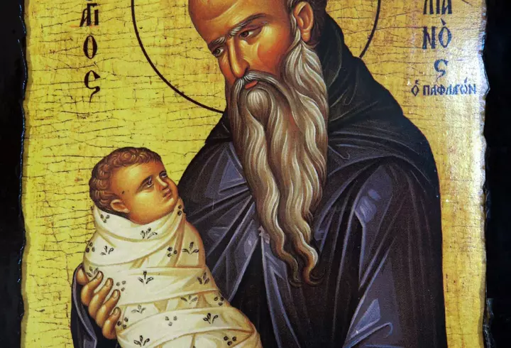 Ce este Crăciunița - de ce este considerată Floarea Crăciunului