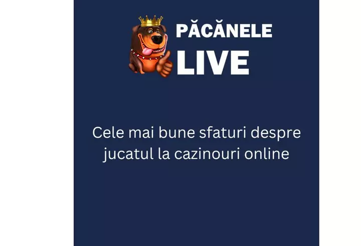 Cum să Măsori Performanța & Rezultatele SEO