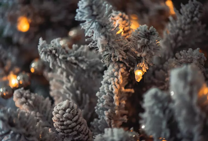 Cele mai mari cazinouri din lume 