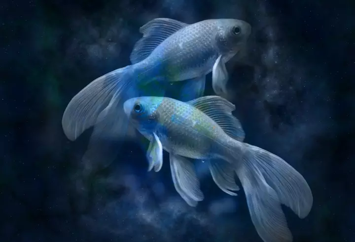 Horoscop 19 martie 2023. Sfaturi pentru o duminică perfectă