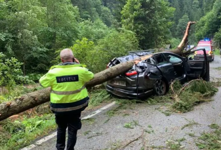 Cum sunt afectate zodiile de Luna Neagră în zodia Leu