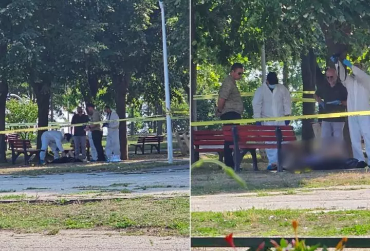 Cum sunt afectate zodiile de Luna Neagră în zodia Leu