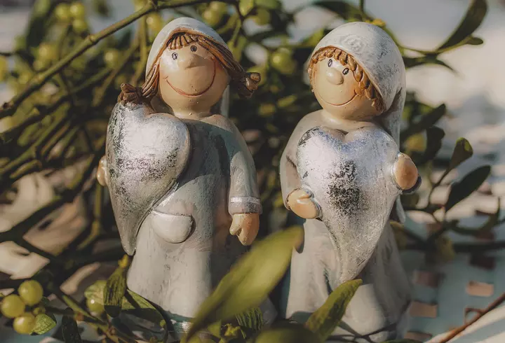 Nuci macadamia - Beneficii şi reţete cu nuci macadamia