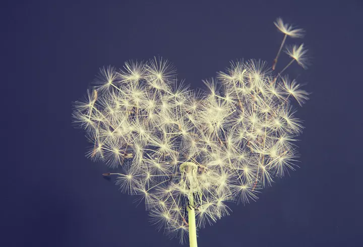 Horoscop 6 ianuarie 2024. Ghinion pe plan amoros pentru o zodie