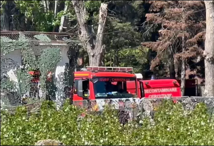 A murit Priscilla Pointer. Pe 18 mai, actrița din serialul Dallas ar fi împlinit 101 ani: "Va rămâne veșnic în inimile noastre"