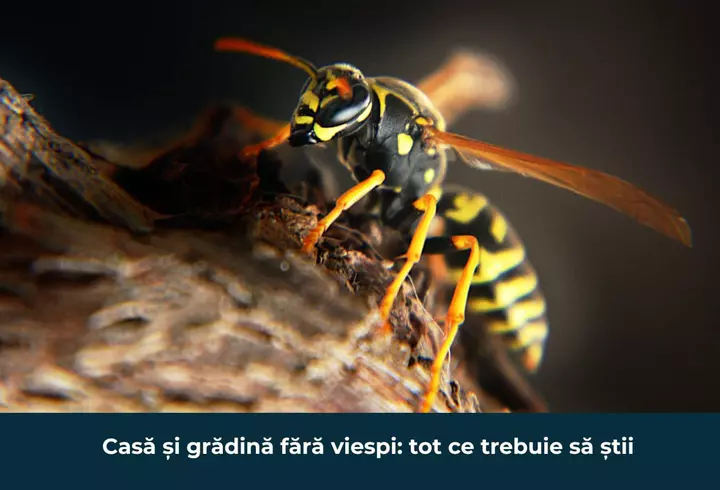 Descoperă gusturile viitorului: 4 alimente pe care le poți consuma începând de azi