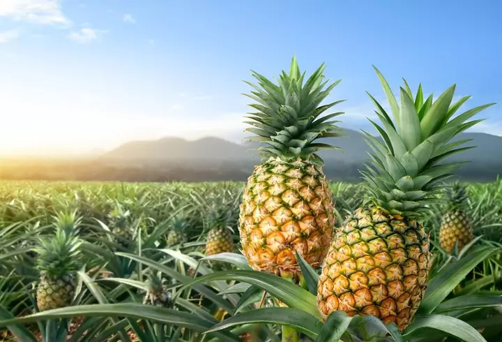 Escapadă epică în Atena. Ponturi pentru o vacanță de vis la poalele Acropolei, locul unde istoria prinde viață și gastronomia de cuerește